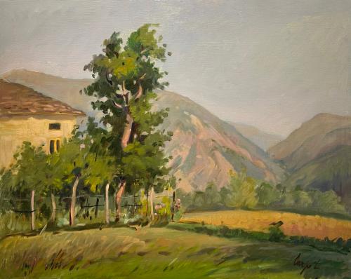 Mattino al Volfana (Berceto) di Luigi Carpi Mattino al Volfana (Berceto) di Luigi Carpi