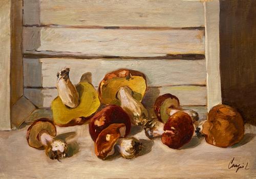 Funghi di Luigi Carpi Funghi di Luigi Carpi