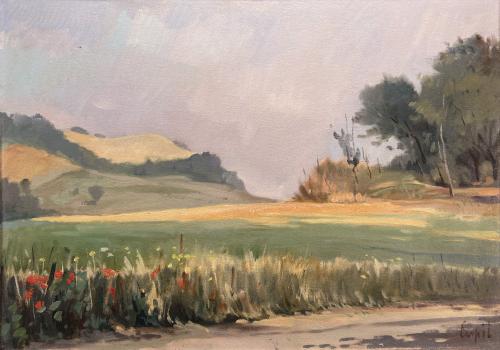 Colline alle Idi di Marzo - Luigi Carpi