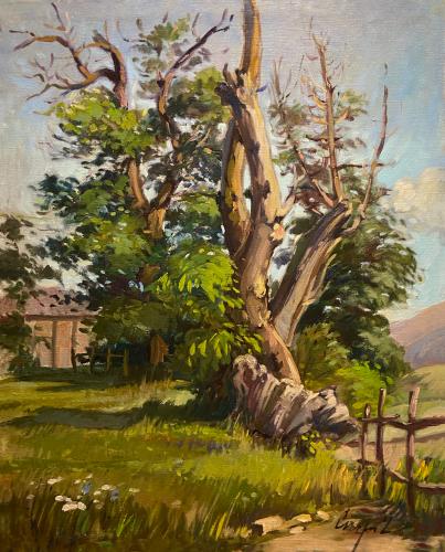 Albero in campagna di Luigi Carpi Albero in campagna di Luigi Carpi