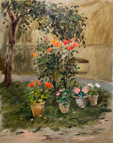 Fiori e vasi in giardino di Luigi Carpi